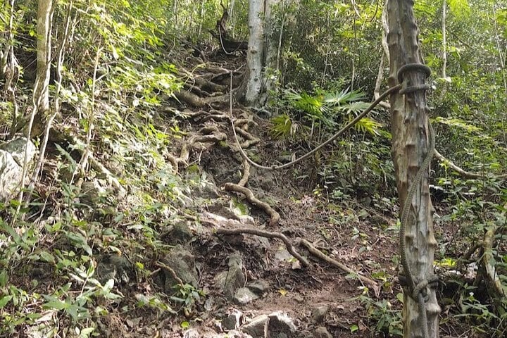 Guided Hiking on Sentry Hill, Sint Maarten, photo 3