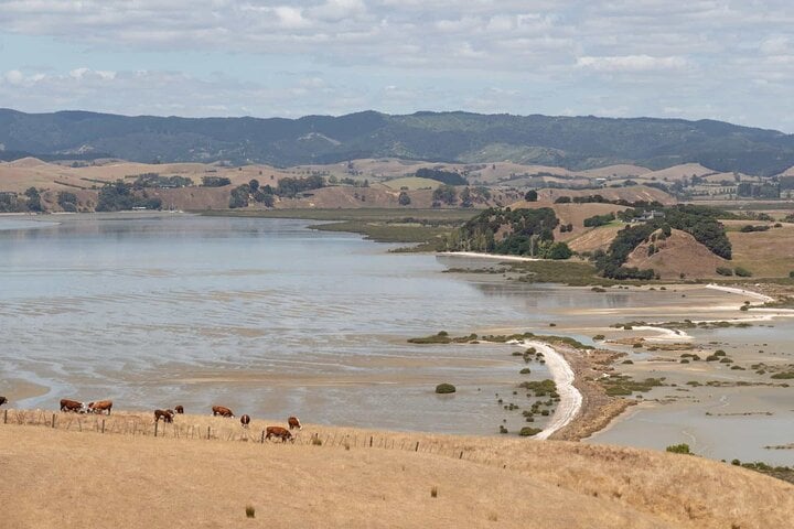 Full-Day Walking Tour at Duder Regional Park, photo 4