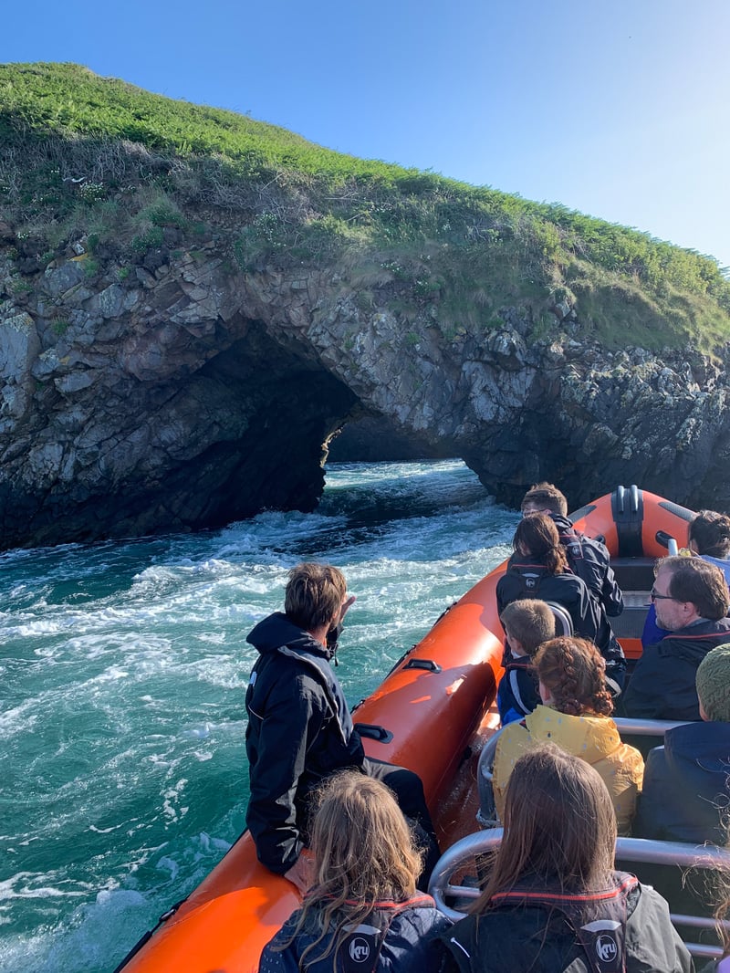 Fishguard Bay and Strumble Head Boat Trip in Pembrokeshire, photo 2