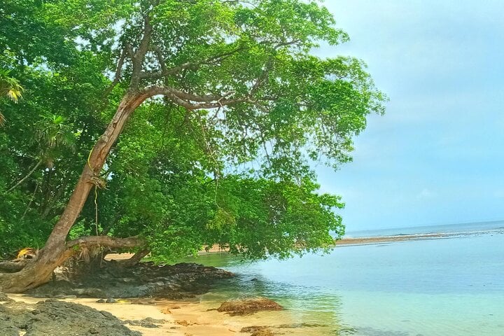 Venas Azules Beach Swim Day in Portobelo, photo 2