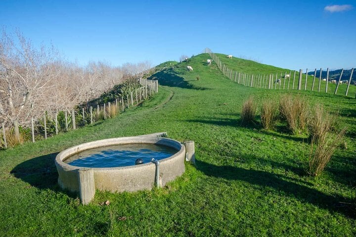 Full-Day Walking Tour at Duder Regional Park, photo 5