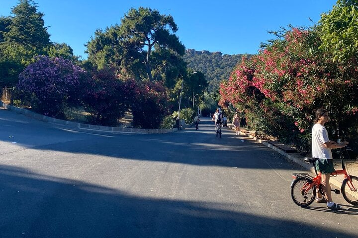 Cycling Tour in Büyükada, photo 2