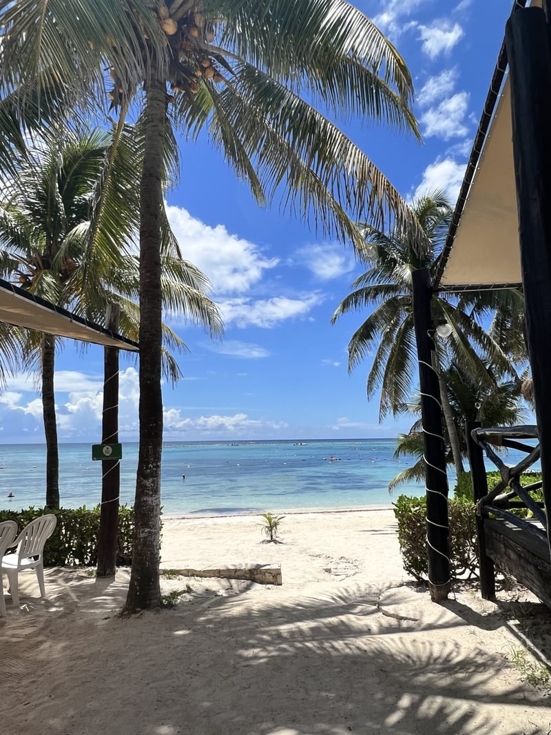 Swim with Turtles in Akumal & 3 Hidden Jungle Cenotes with Lunch, photo 5