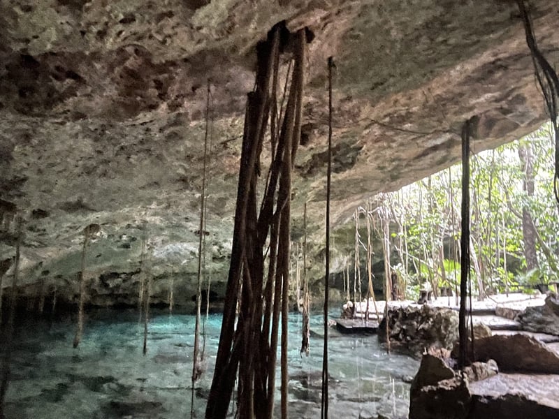Five Cenotes Jungle Swimming Experience in the Riviera Maya, photo 2