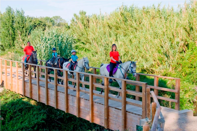 Horse Trekking near Moncayo, photo 5