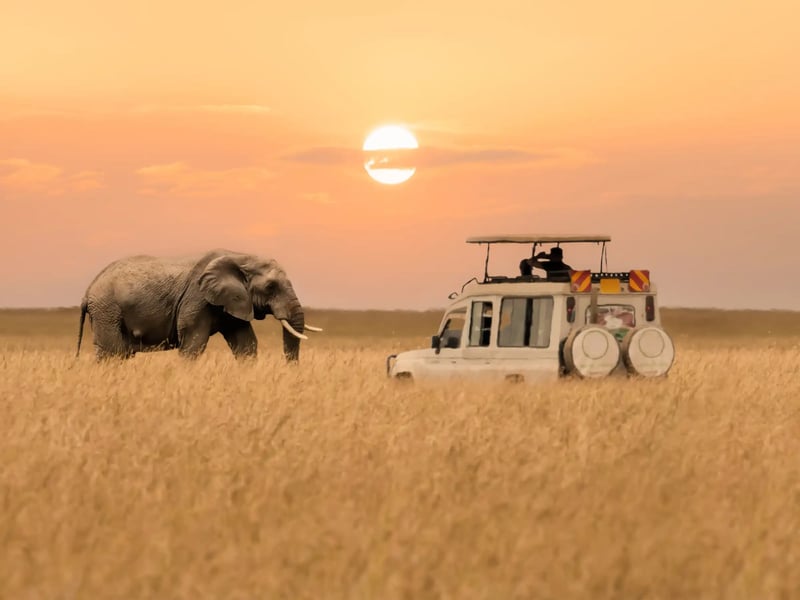 5 Day Kidepo Valley Safari in Uganda, photo 5