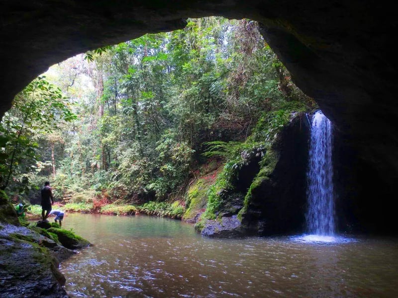 Jungle Hike and Waterfall Swim near Capira, photo 2