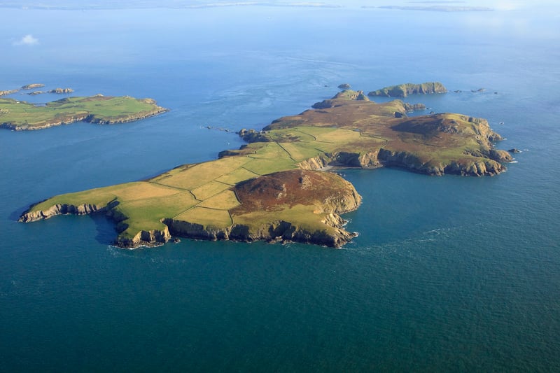 Skomer and Ramsey Islands Boat Trip in Pembrokeshire, photo 2