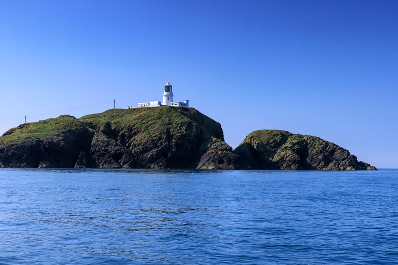 Full Day Celtic Deep Boat Expedition in Pembrokeshire, photo 2