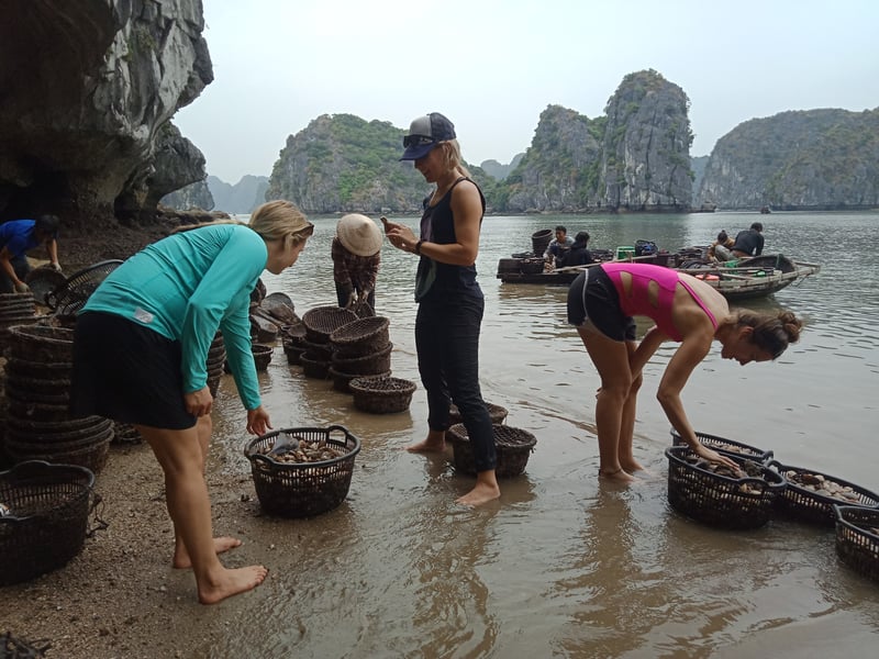 2D1NI from Cat Ba: Swimming - Kayaking - Biking - Stay on Boat, photo 5