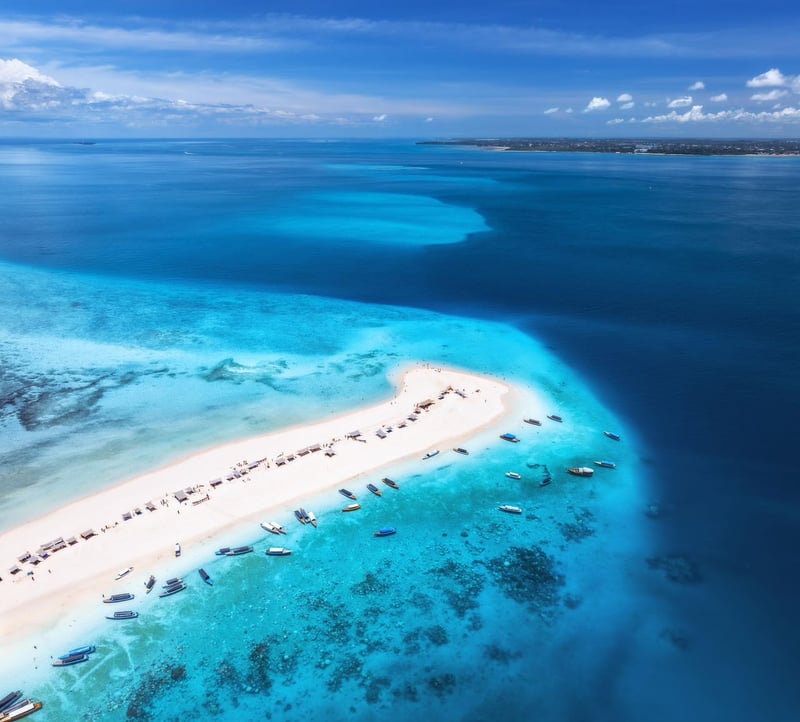 Safari Blue Full-Day Tour with Seafood BBQ Lunch, photo 3