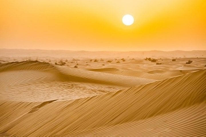 Morning Desert Safari in Abu Dhabi, photo 5