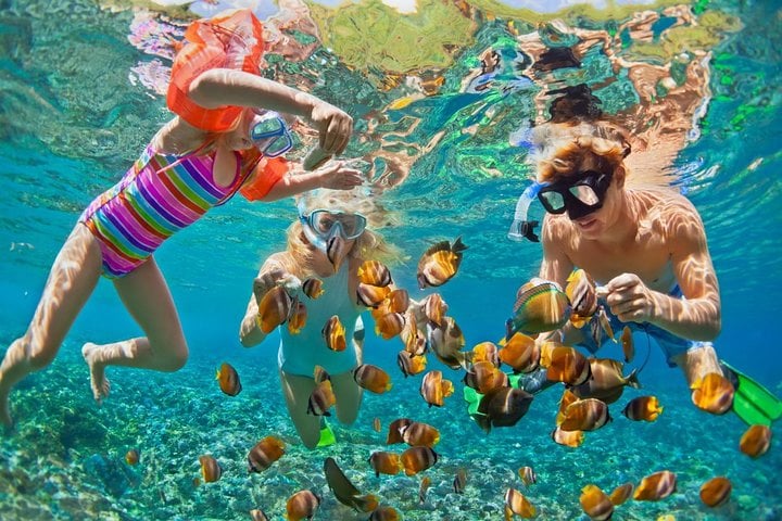 Snorkelling and Kayaking in Portobelo, photo 5