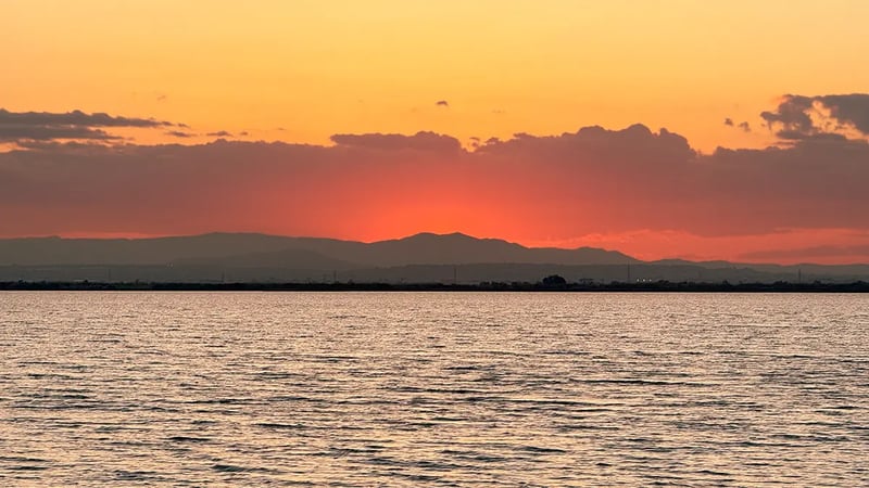 E-Bike Tour to Albufera from Valencia, photo 4