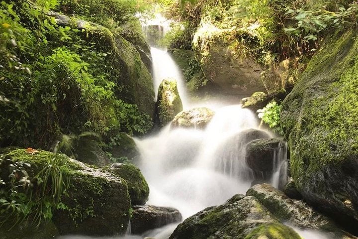Shivapuri Day Hike from Kathmandu, photo 4