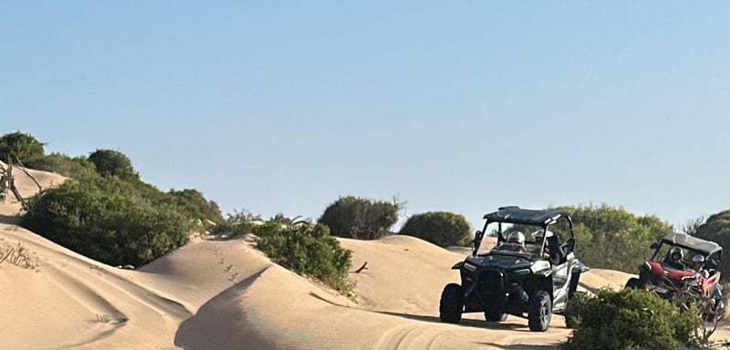 Buggy Tour in Essaouira, photo 3
