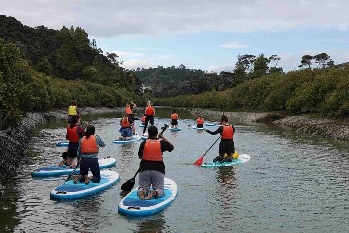 SUP Tour to Lucas Creek Waterfall in Auckland, photo 3