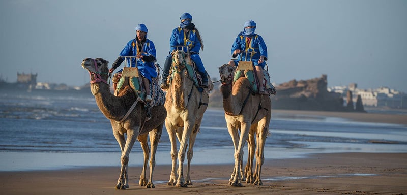 Camel Riding in Essaouira, photo 5