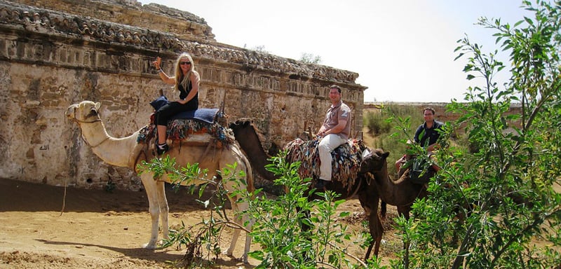 Camel Riding in Essaouira, photo 4