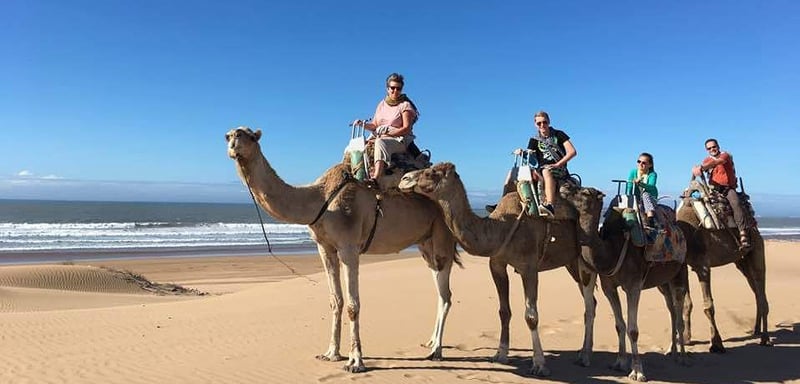 Camel Riding in Essaouira, photo 3