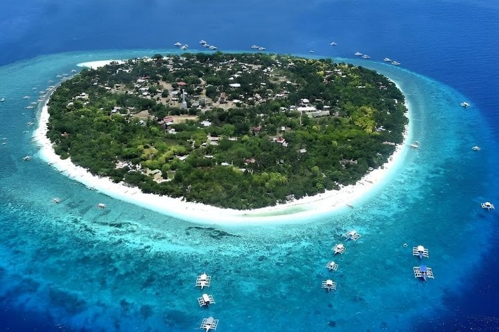 Private Dolphin Watching and Snorkelling in Panglao, photo 4