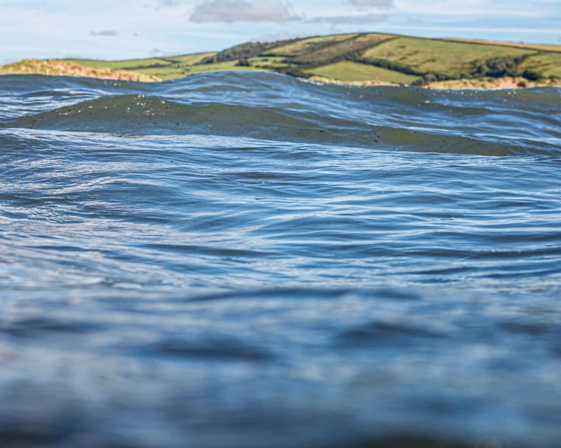 Sea Sauna and Cold Plunge in Croyde, photo 2