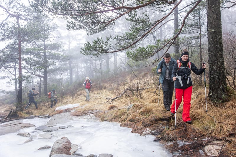 Preikestolen Winter Hike with Hot Meal in Lysefjord, photo 2