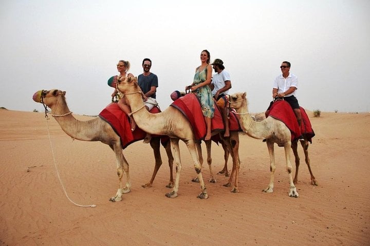 Morning Desert Safari in Abu Dhabi, photo 4