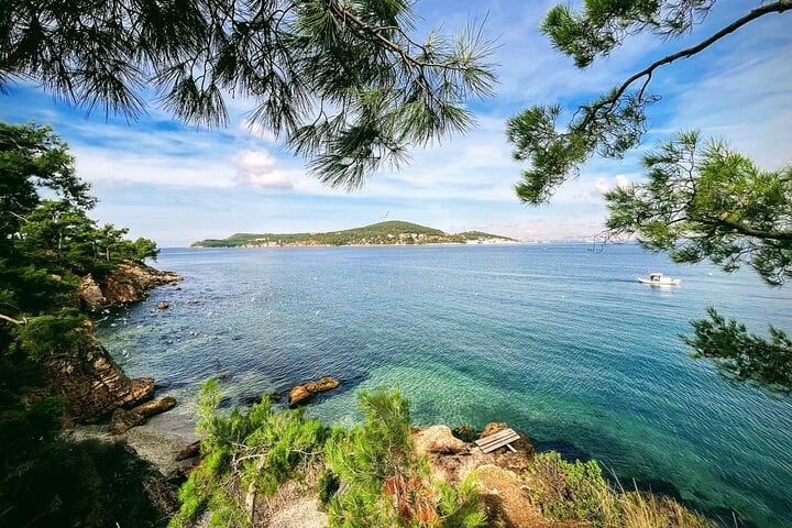 Tour di nuoto selvaggio sulle Isole dei Principi, foto 3