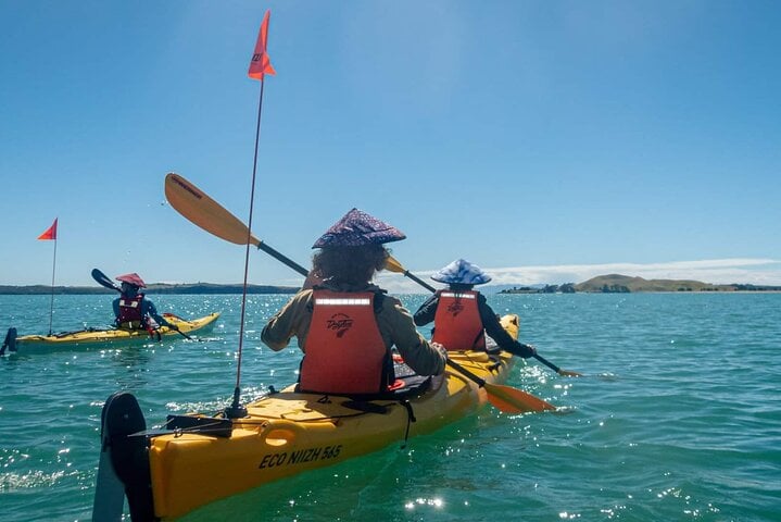 Sea Kayak Tour to Browns Island in Auckland, photo 2