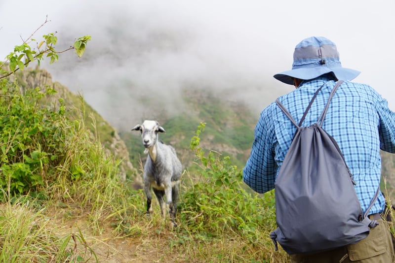 Serra Malagueta Valley Hike and Local Lunch in Santiago, photo 3