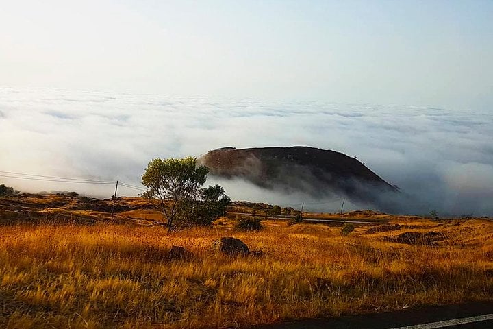 Volcano Hike from Chã das Caldeiras in Fogo, photo 5