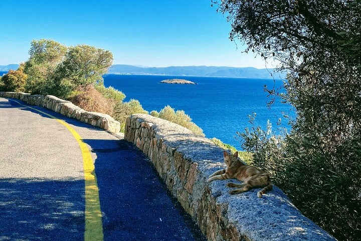 Cycling Tour in Büyükada, photo 4