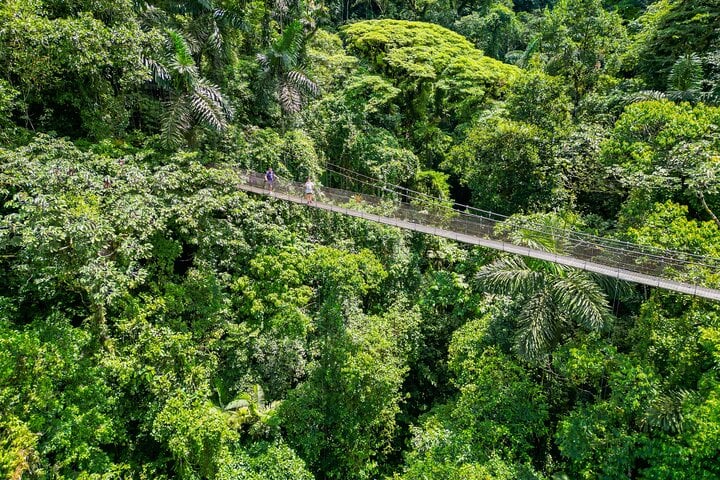 Fortuna Waterfall, Arenal Volcano and Mistico Bridges Combo in La Fortuna, photo 5