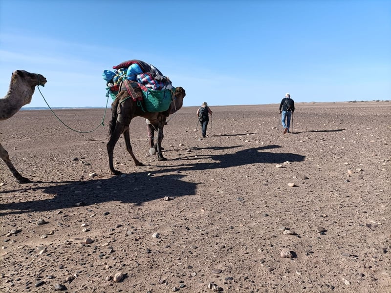 7-Day Sahara Desert Trek from Marrakech, photo 2