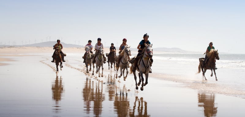 Horse Riding in Essaouira, photo 5