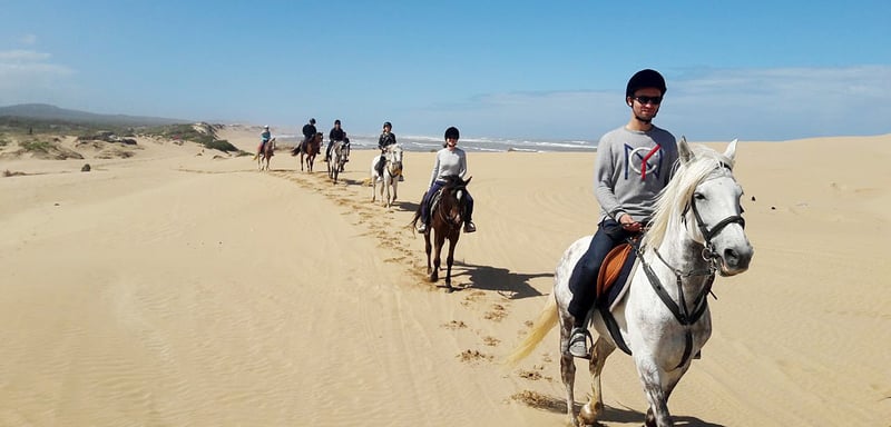 Horse Riding in Essaouira, photo 4