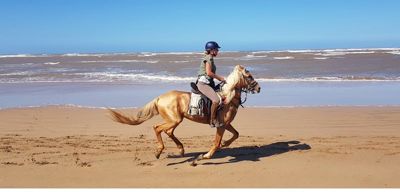Horse Riding in Essaouira, photo 2