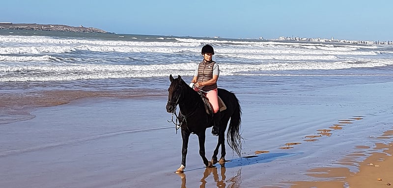 Horse Riding in Essaouira, photo 3