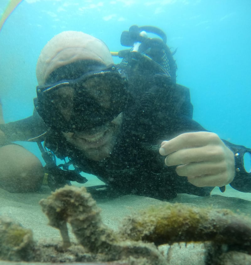 Sea Trek Helmet Diving in Playa de las Américas, photo 3