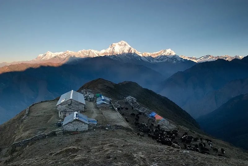 Khopra Danda Trek - 6 Days, photo 2