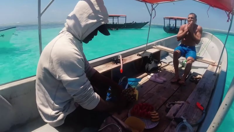 Dolphin Snorkelling at Mnemba Island in Zanzibar, photo 4