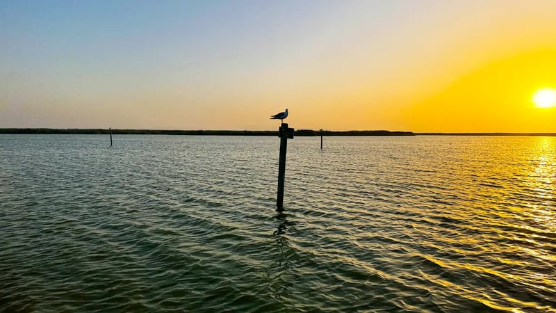 Albufera Lake Bike Tour in Valencia, photo 4