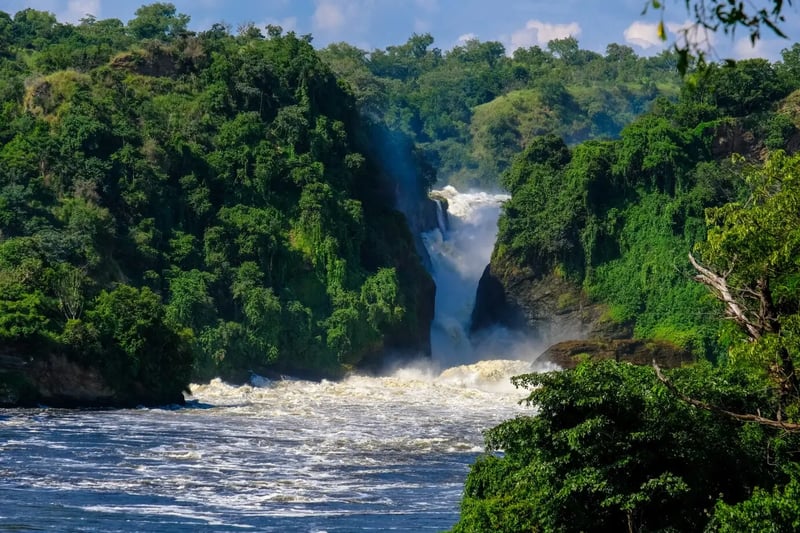 7 Day Murchison and Bwindi Gorilla Safari in Uganda, photo 3
