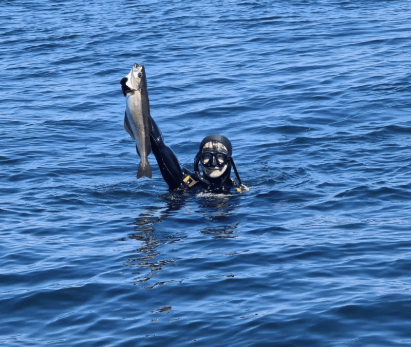 Spearfishing Course in Plymouth - Spear Fisher Level 1, photo 3