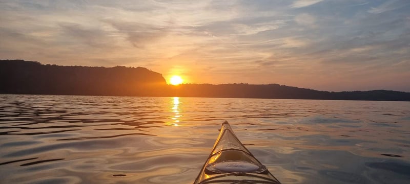 Guided Sunset Wild Food Sea Safari - Kayaking in Torquay, photo 2