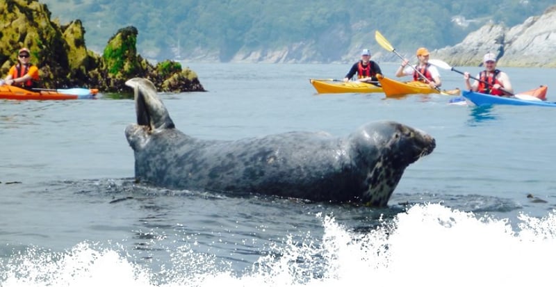 Level 1 Sea Kayak Course – 2 Days in Dartmouth, Devon, photo 2