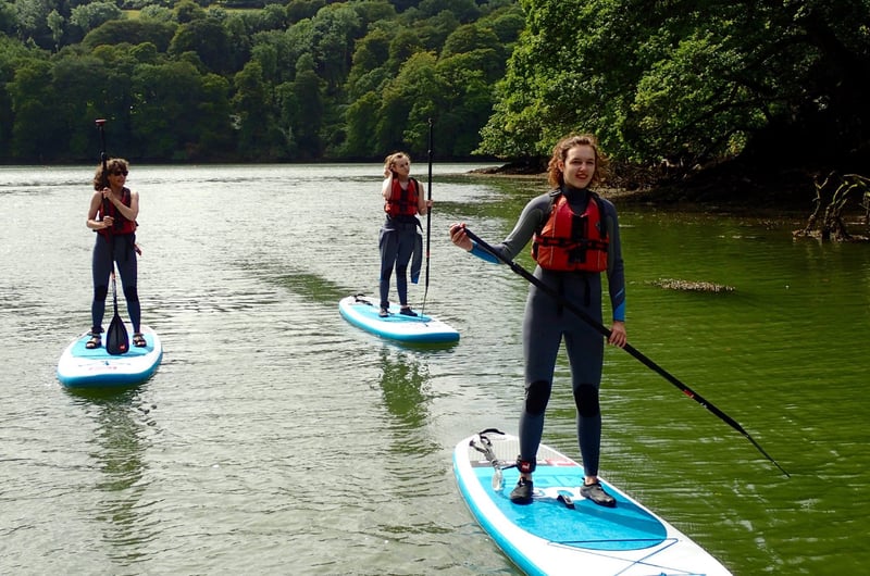 Guided SUP Trip in Dartmouth, Devon, photo 3
