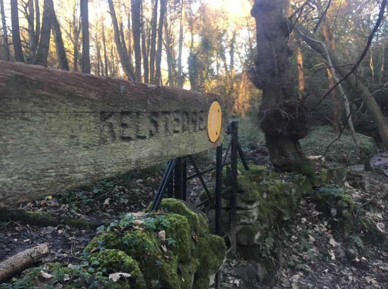 Beginner Navigation Course - North Yorkshire & Derbyshire gallery 4