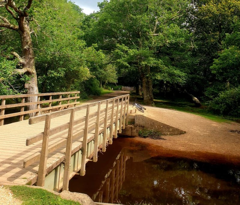 Hazelhurst Farm New Forest Cycle Tour, photo 2